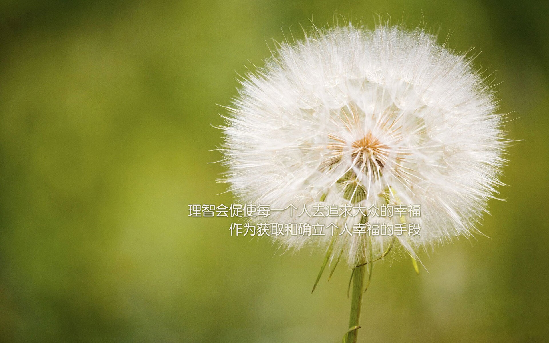 篮球运动员专项技能动作动作捕捉技术的创新应用研究,专业篮球动作