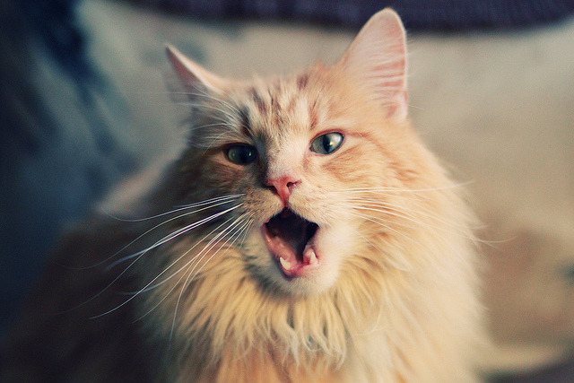 世界杯最后一分钟的绝杀瞬间，世界杯决赛最后一球