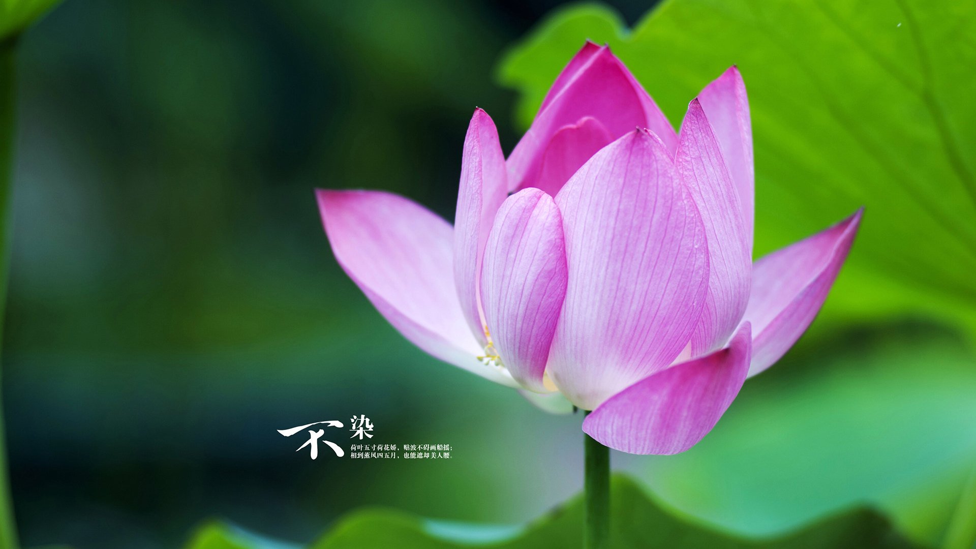 体育赛事媒体传播新动向,体育赛事的宣传方法