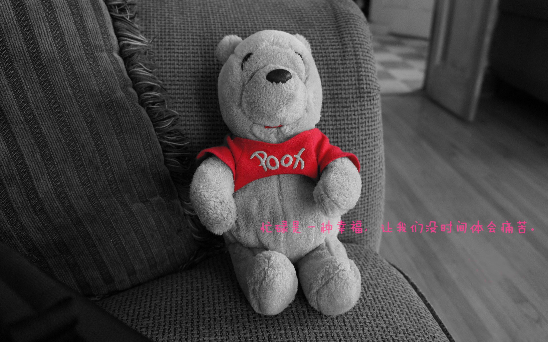 凯尔特人投篮教练讲解命中率提升技巧，凯尔特人球员篮球