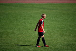 爱游戏体验-NBA球员训练方法创新，nba球员训练视频,篮球技术